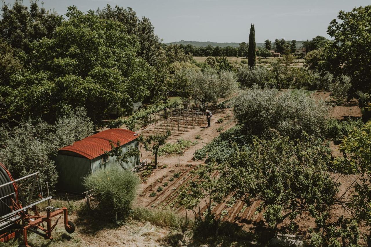 Agriturismo Cerqueto Villa Acquapendente Esterno foto